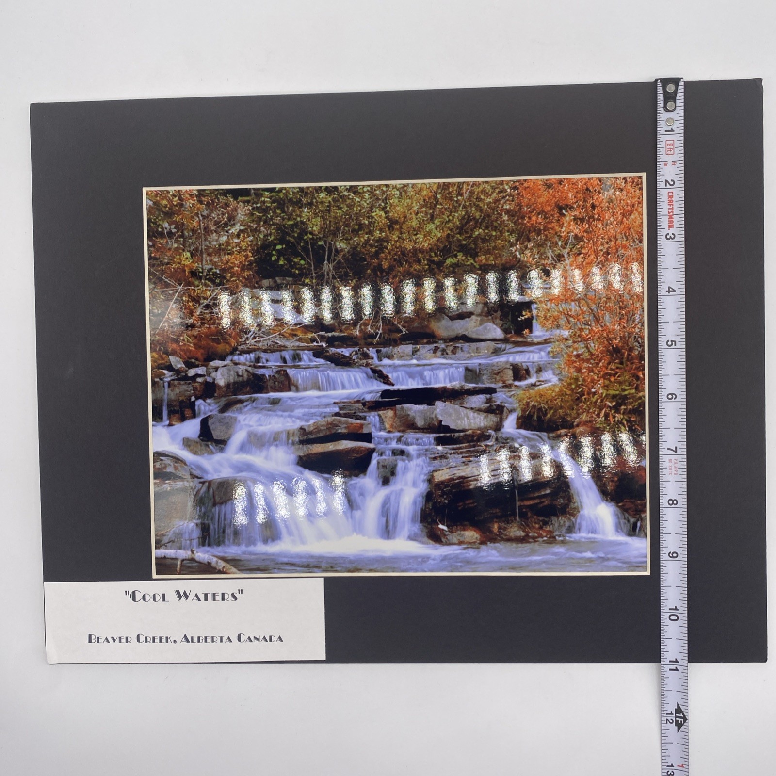 Matted River Forest Landscape Photo Print 11 X 14 Wall Art Gallery Decor