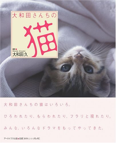 Owada Family Cats: Daily Feline Adventures