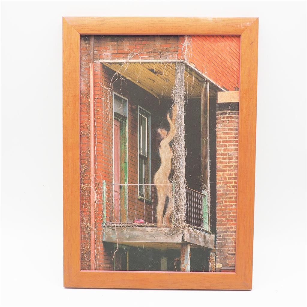 Framed Signed Digital Art Photograph Known Artist 9″x12″