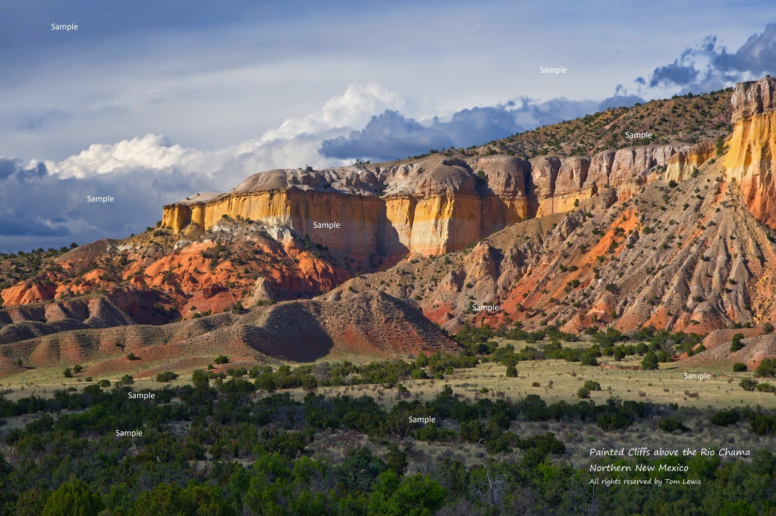 Rio Chama River Northern New Mexico Painted Cliffs #1 Photo Poster Print NM03