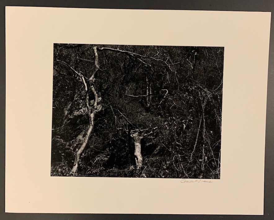 Charles H Traub (Landscape) Center for Photographic Studies Portfolio 1 1972
