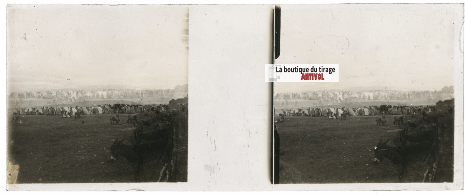 Landscape, Fes, Morocco, Stereo Glass Plate, Black & White 4.5X10.7 Cm