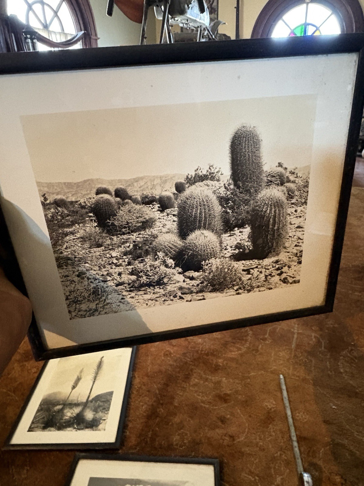 Mid Century Modern Southwestern Art Photographs Desert Cactus Mountains Sky