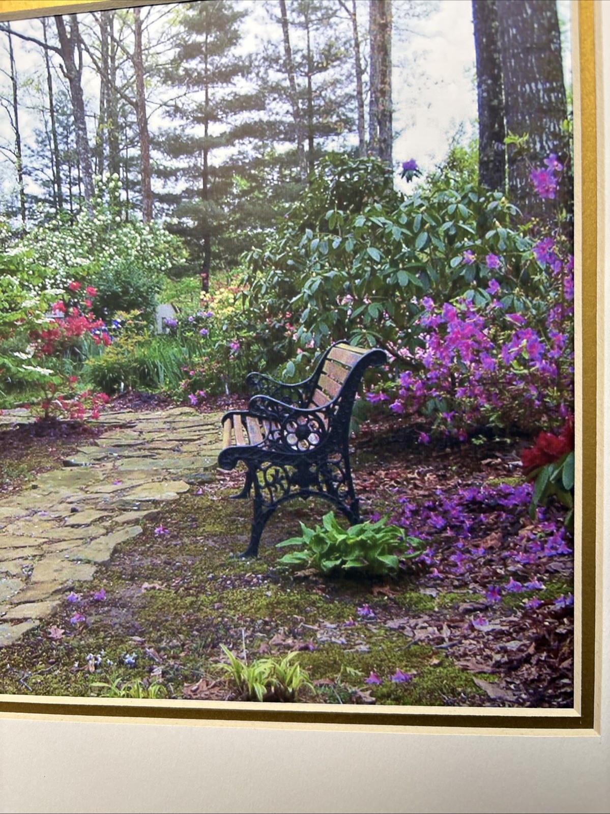2003 Signed Vicki Hagan Photograph Garden Path Purple Flowers Bench No Frame