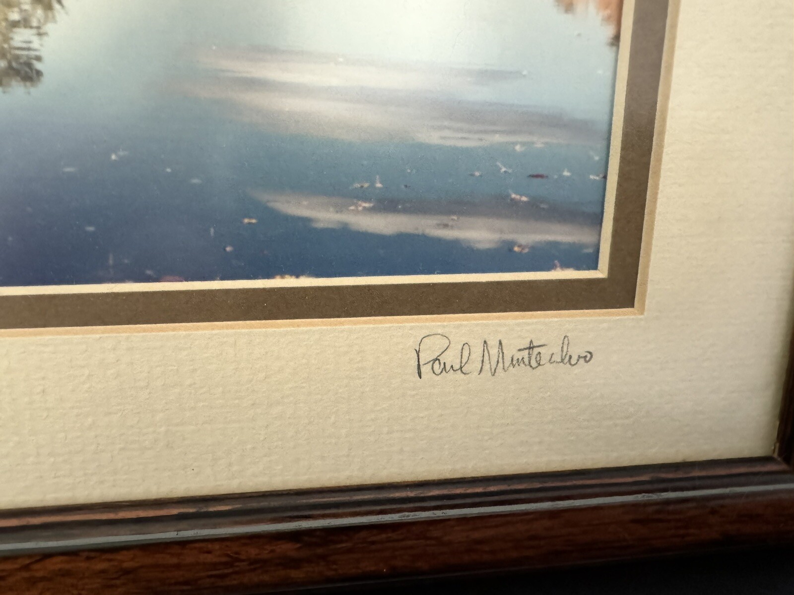 Signed Photo Framed Wall Art Fall Trees, Lake Country Photo Art