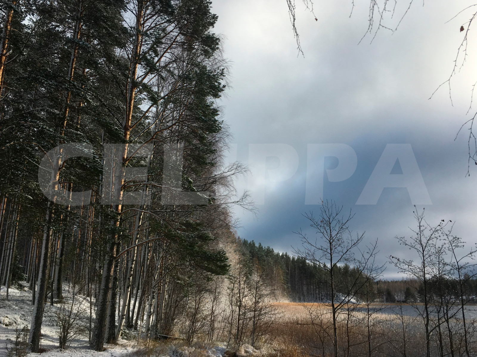 Photo Digital Product Wallpaper Image Picture Background Desktop Art -Lake.Fores