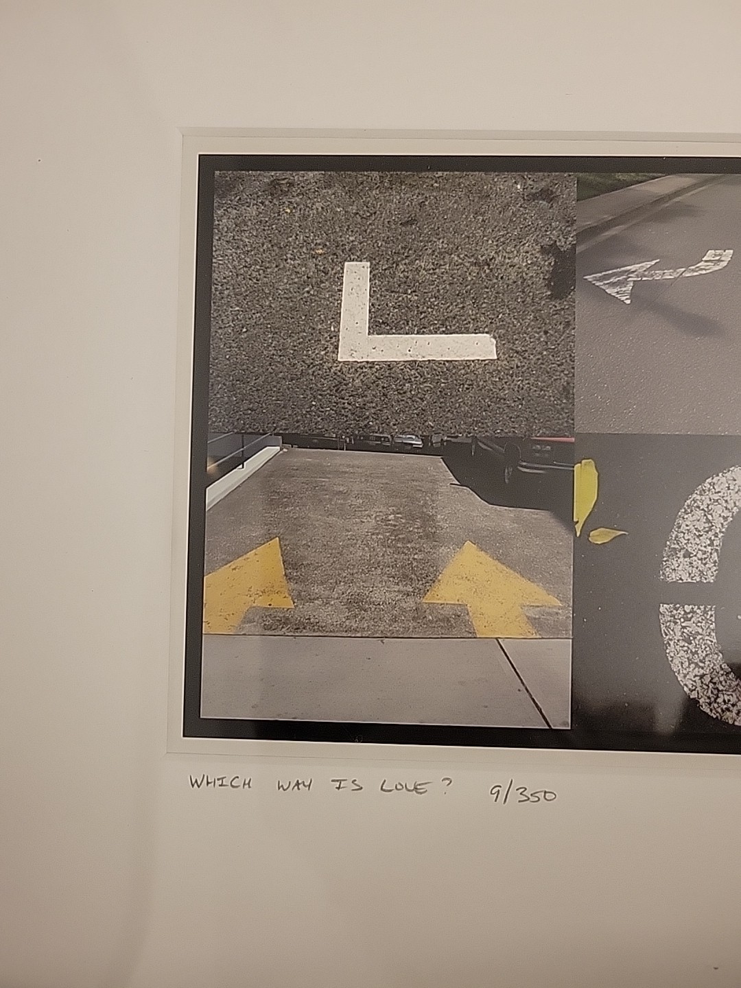 Framed Abstract Photograph 6-Panel Collage “Which Way is Love?” Numbered 9/350