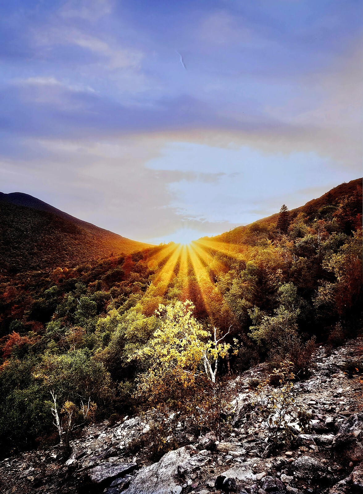 fine art nature photography prints