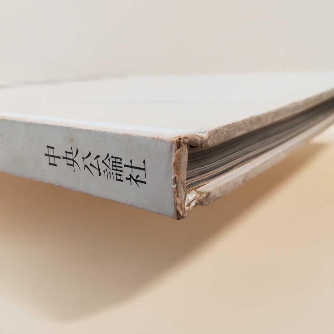 RARE 1st Edition Masahisa Fukase Yugi Homo Ludence 1971 Photo Book Japan
