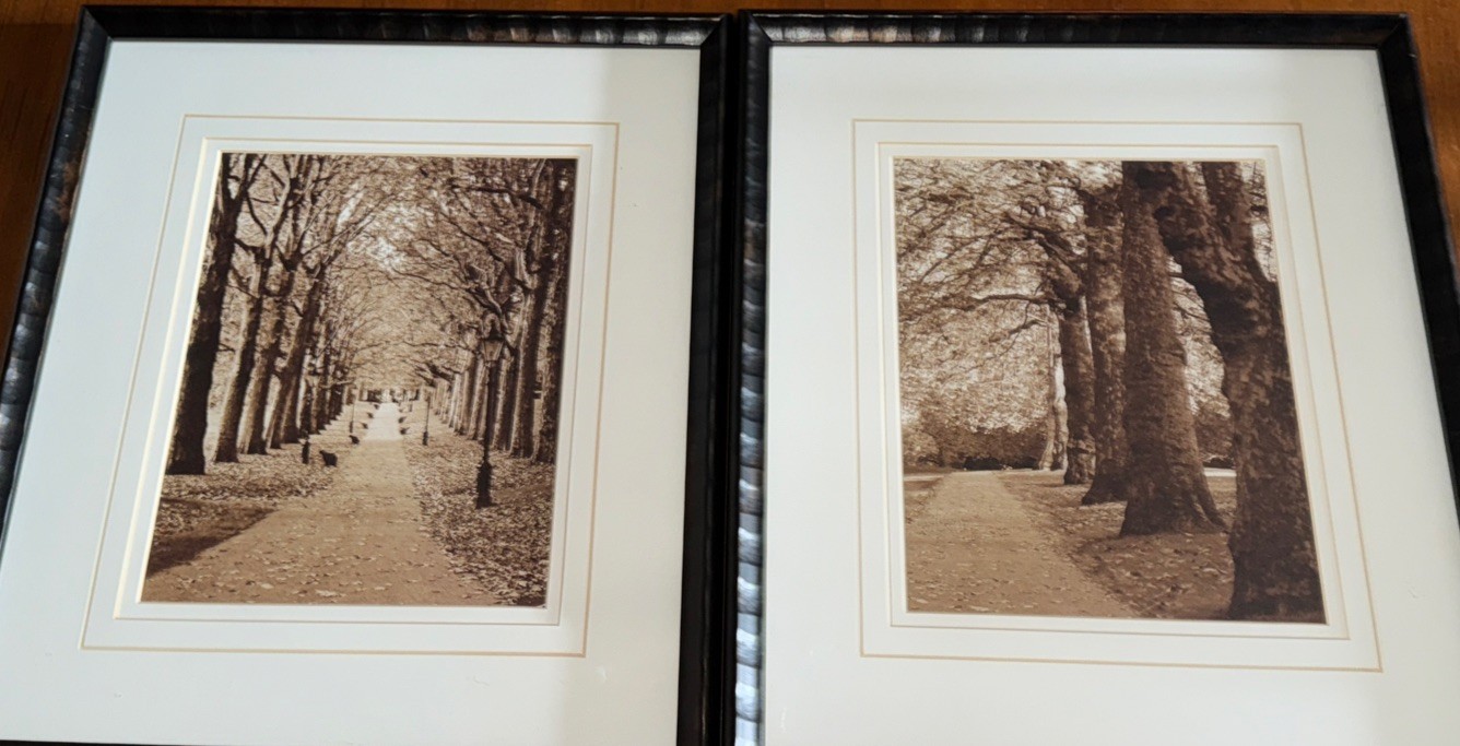 2 Park Walkway In Fall Sepia Black & White Prints Framed Matted You Get Both