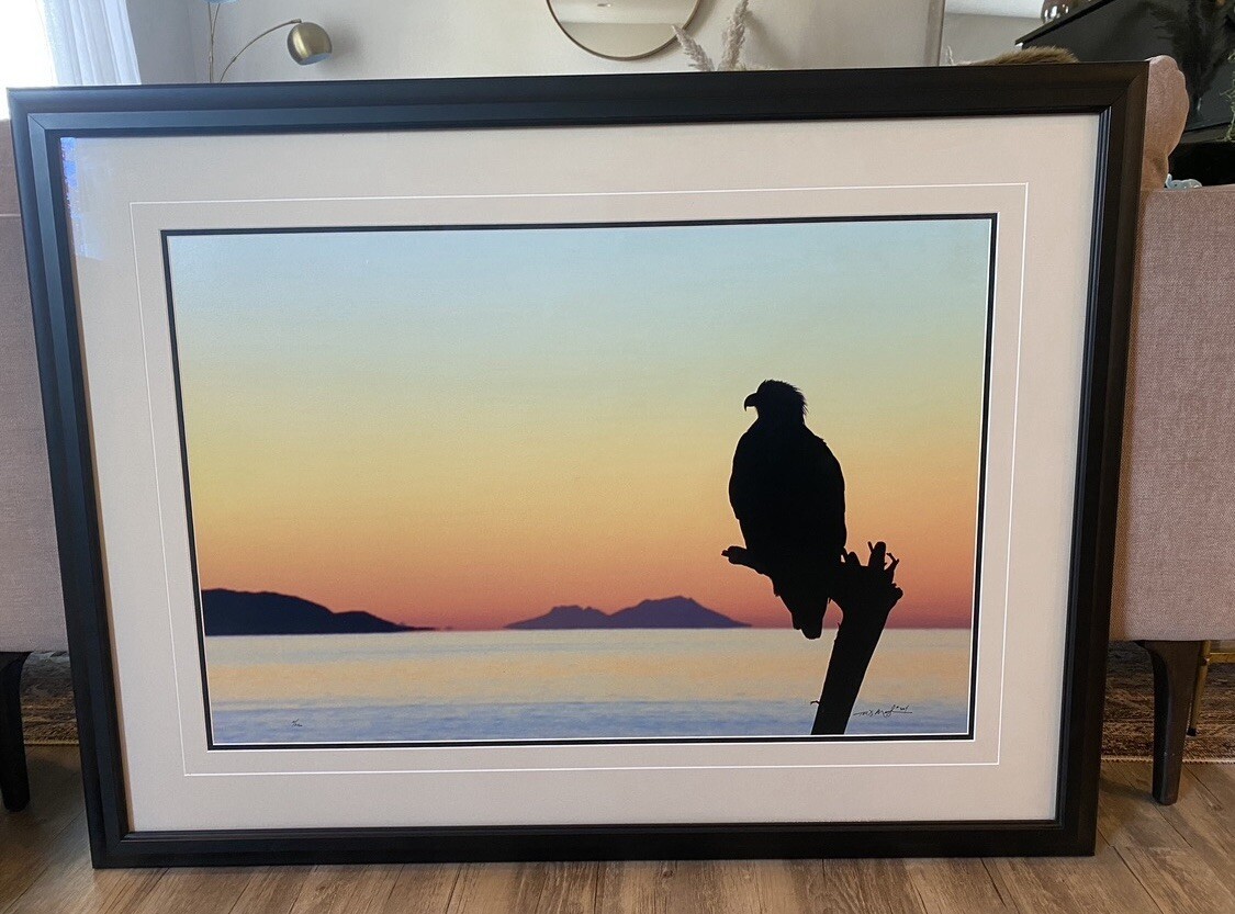 Mangelsen Twilight on the Peninsula – Bald Eagle