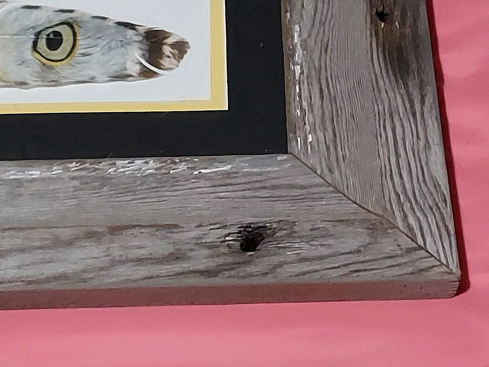 Picture of Painted Turkey Feather With Bald Eagle Eyes Beak Vtg Look Wood Frame