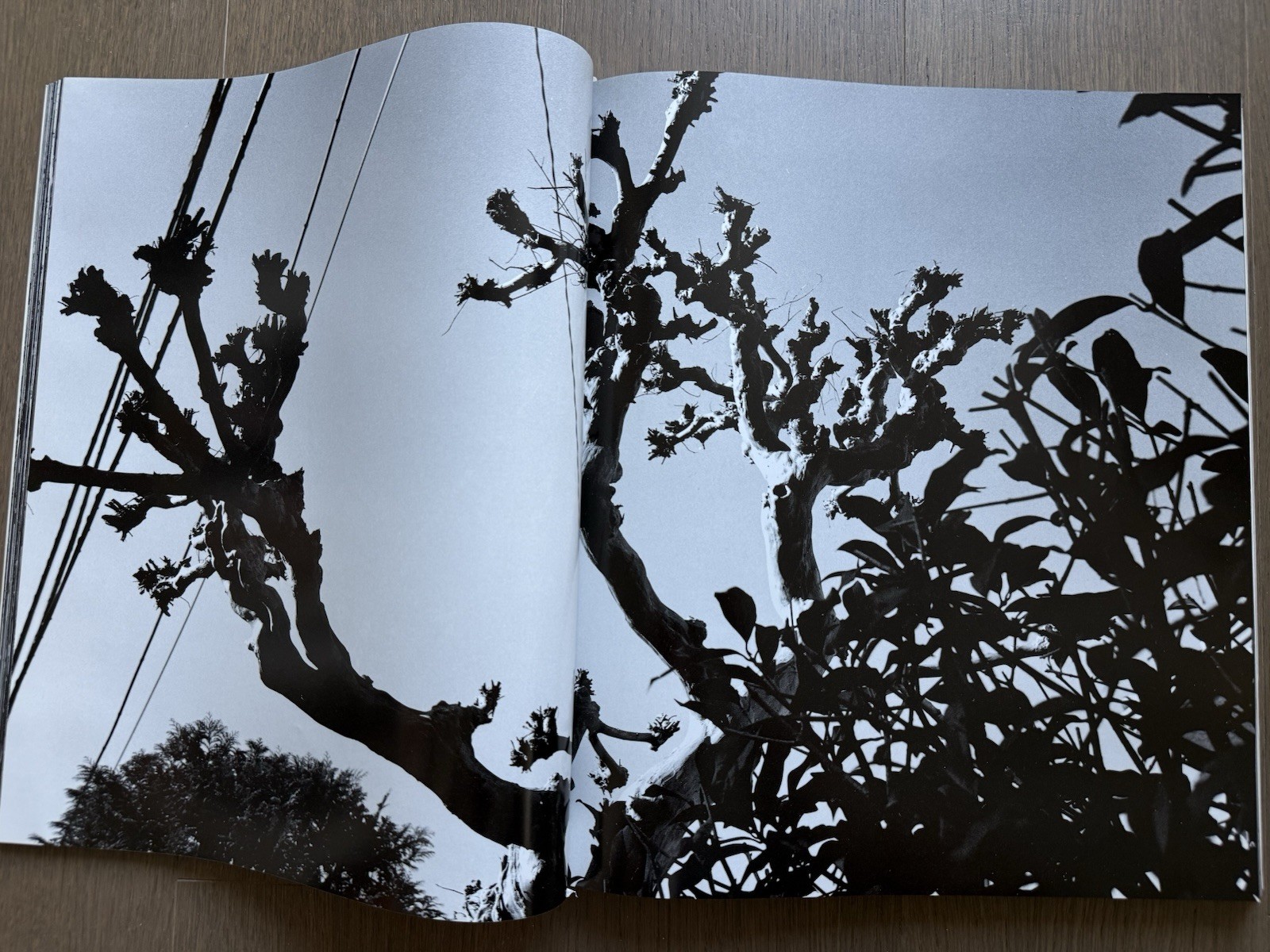 🎈SIGNED! Nobuyoshi Araki – HYSTERIC GLAMOUR No.10, 1999, Japan Lim Ed, Snapshot