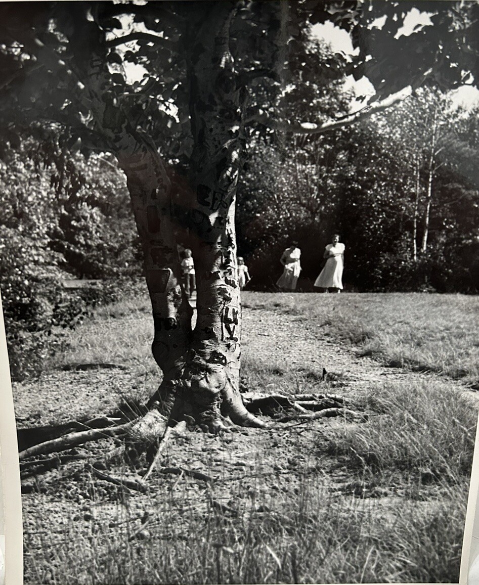 Arthur Gray Standard Oil Photographer Cleveland Ohio Americana People in Woods!!