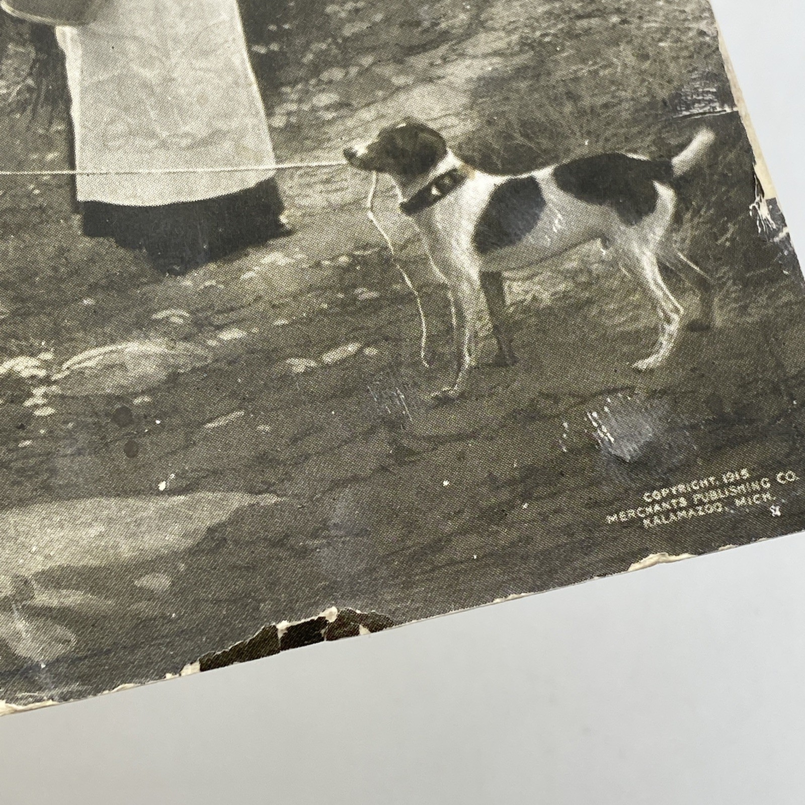 Merchants Publishing Kalamazoo Every Little Helps 1915 Antique Woman Cow Dog