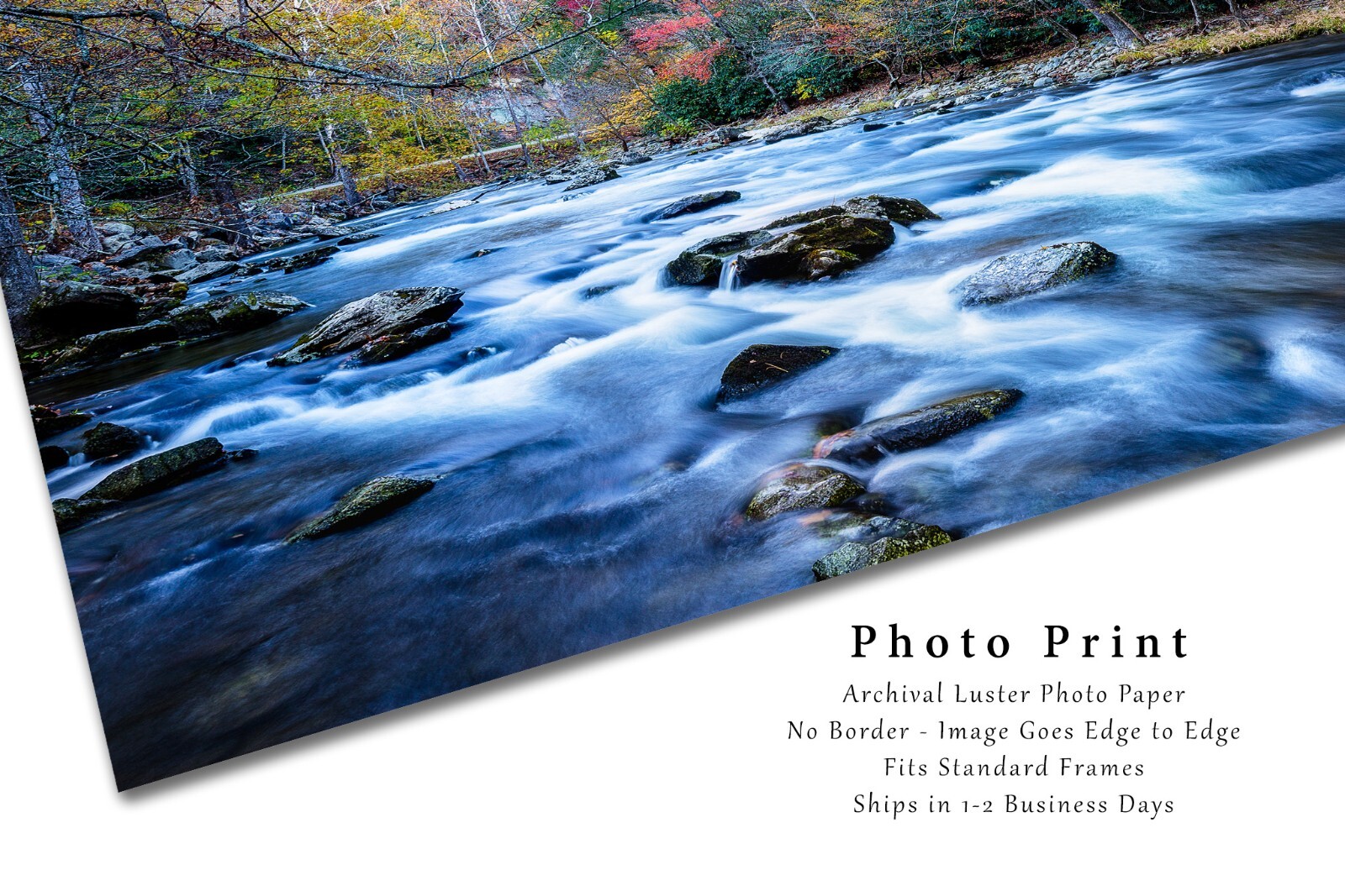 Great Smoky Mountains Photography Print – Laurel Creek on Fall Day in Tennessee