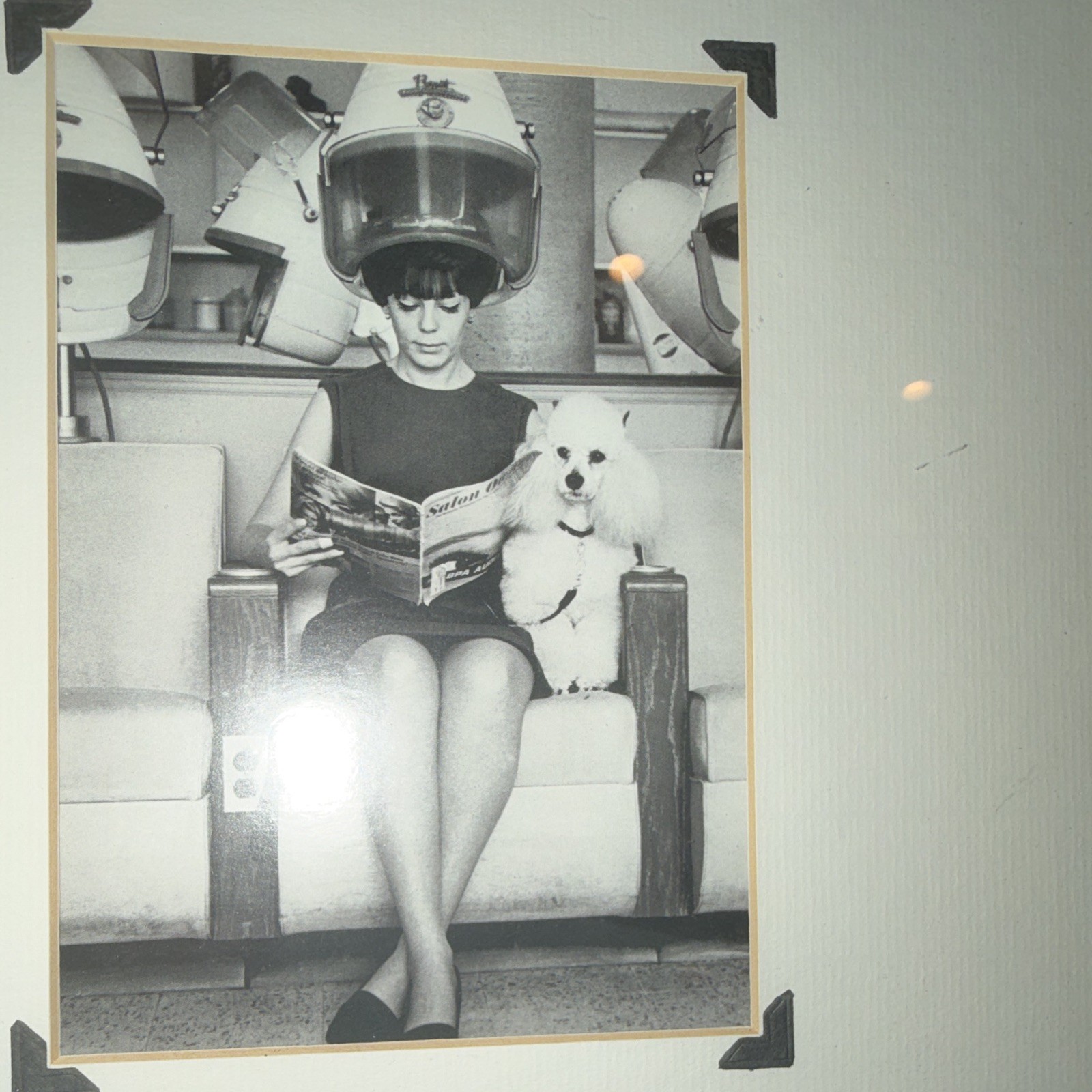 Vintage Black & White Photograph Woman Under Hair Dryer w/ Dog, Framed Matted