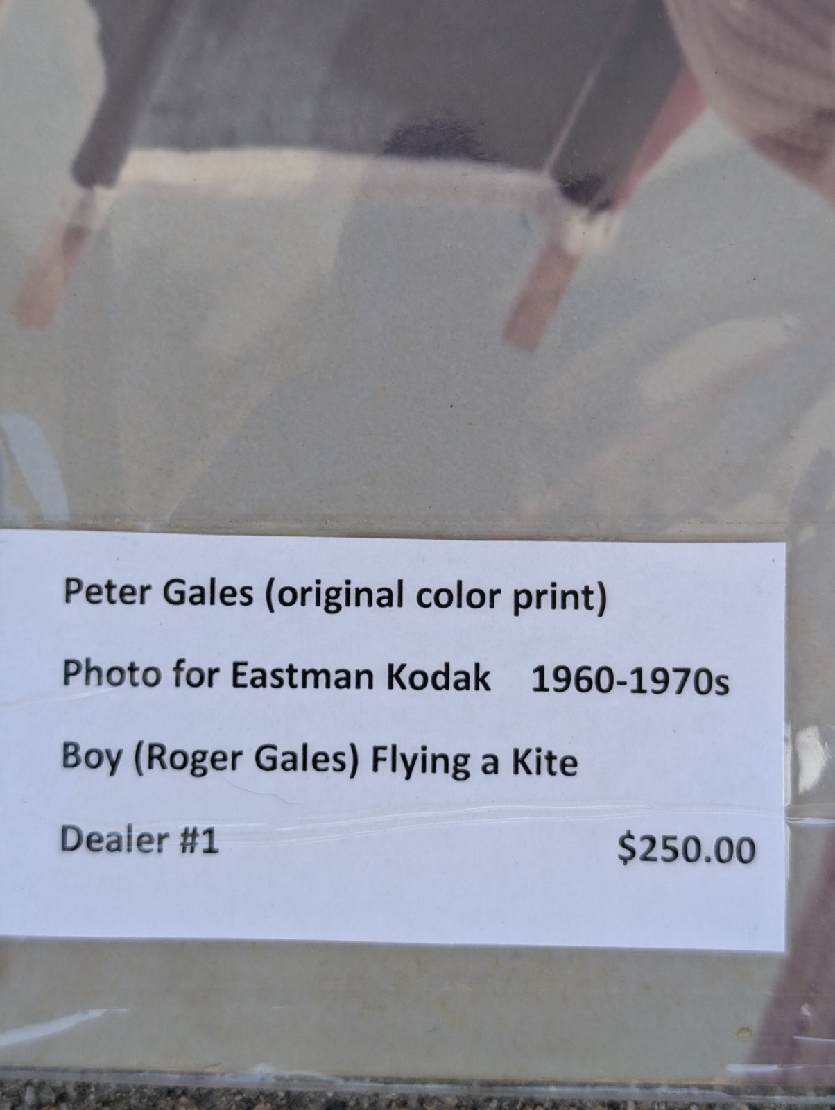 Peter Gales Original Color Print Eastman Kodak Boy Flying Kite Roger Gales 15×18