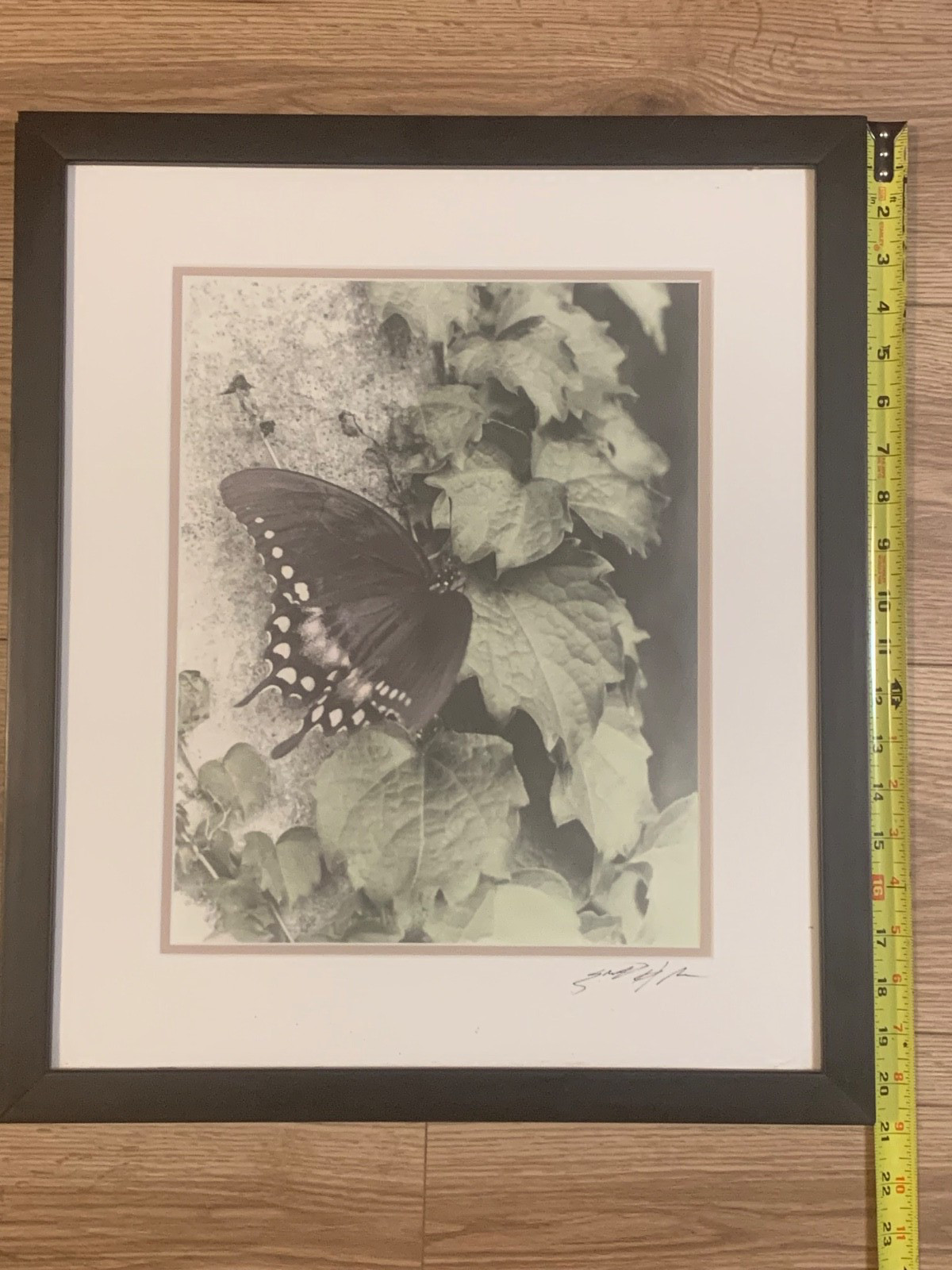 Signed Sepia Butterfly Nature Photograph – Close-Up Botanical Art Print