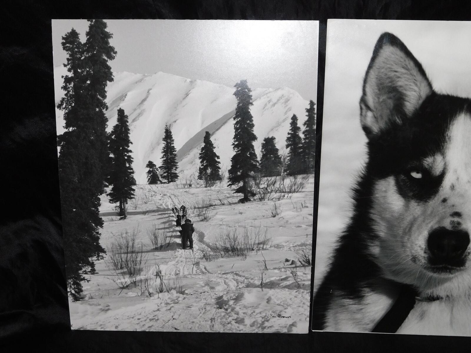 Alaska Iditarod Dog Sled Race 1985 Jim Brown Signed Mounted Set 6 Photos