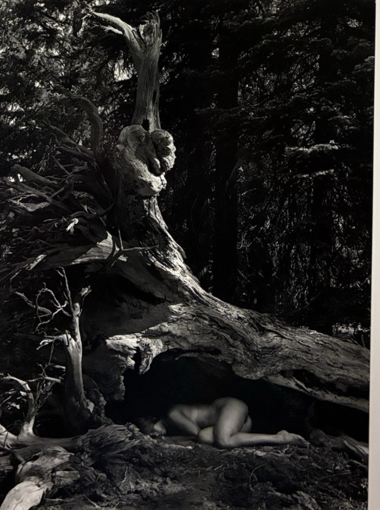 Cole Weston 1979 Gelatin Silver Photograph “Lake Almaden” Stamped Dated