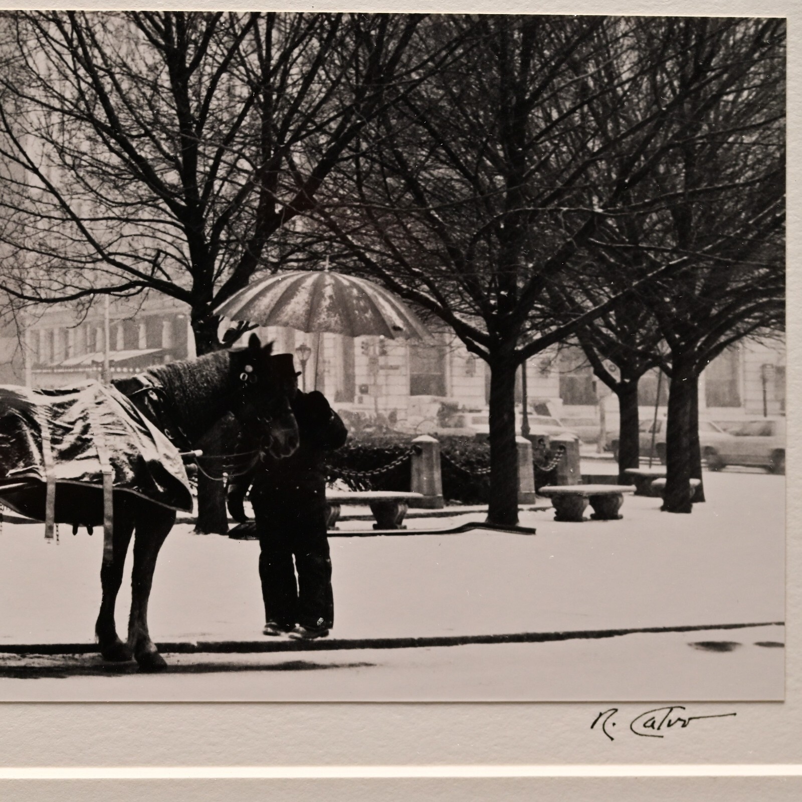 RICHARD CALVO Original Vintage Signed Central Park NY Horse Carriage Photograph