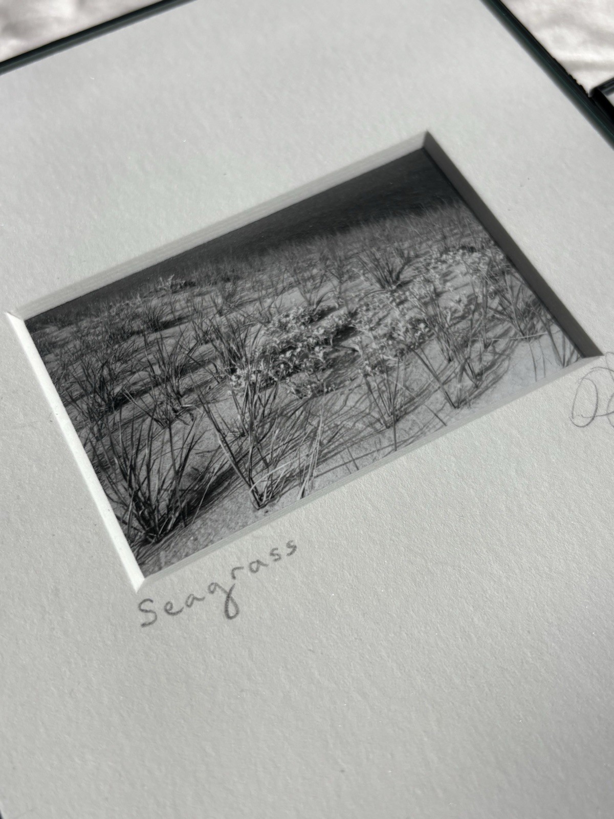 3 Black & White Minimal Modern Framed Photo Art Nature Titled Artist Signed