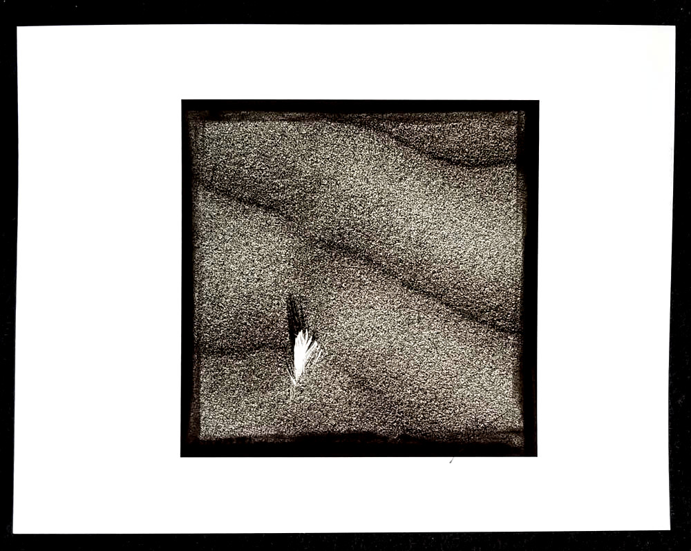Original Fine Art Photography B&W Oregon Beach Abstract 11 x 8.5″ Signed