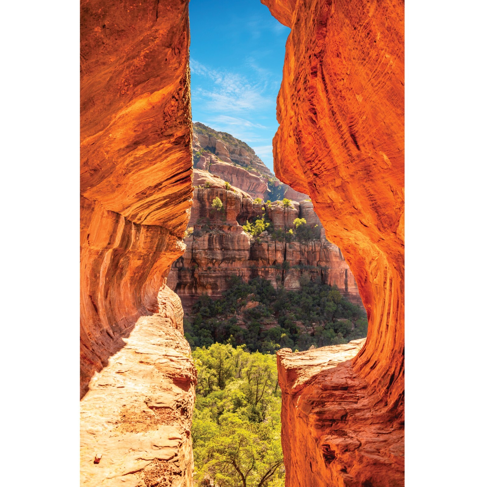 Subway Cave Sedona Photography, Arizona Landscape, Boynton Canyon Trail Picture