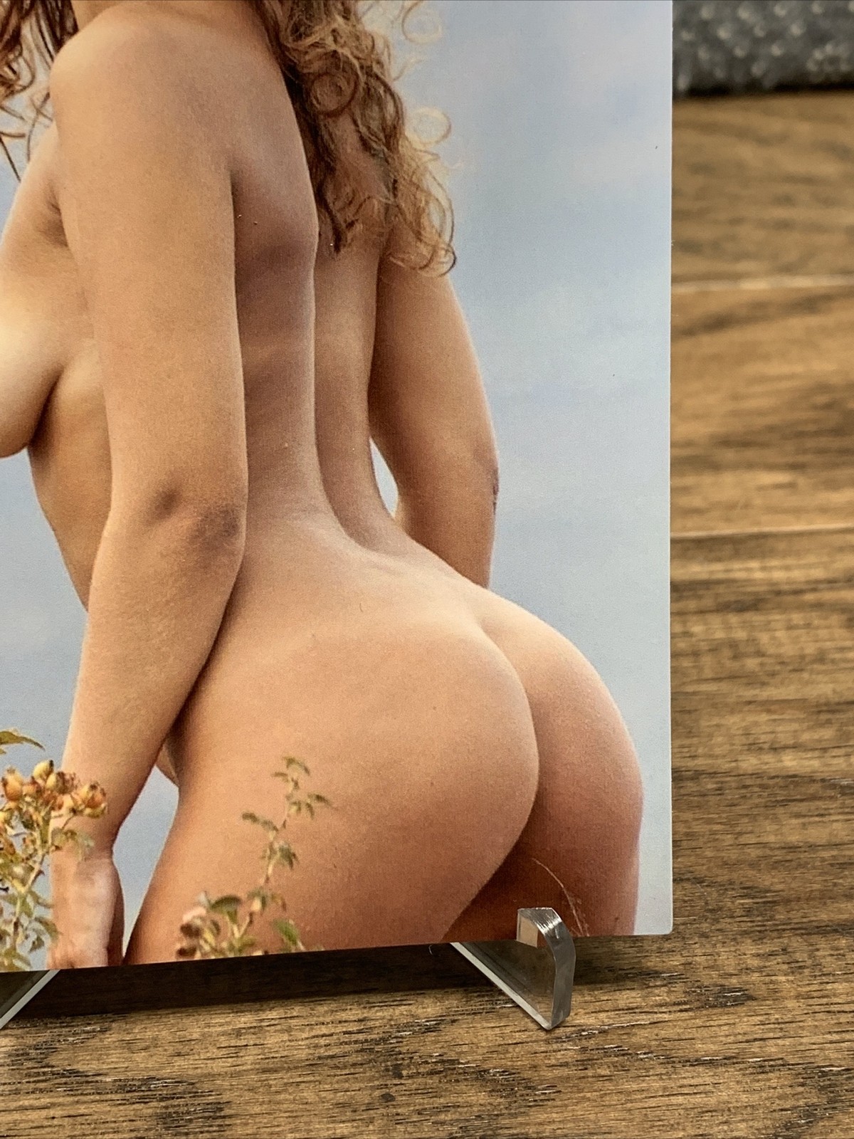 Contemporary Artistic Nude 4×6 Photograph Fine Art Color Print Female Study