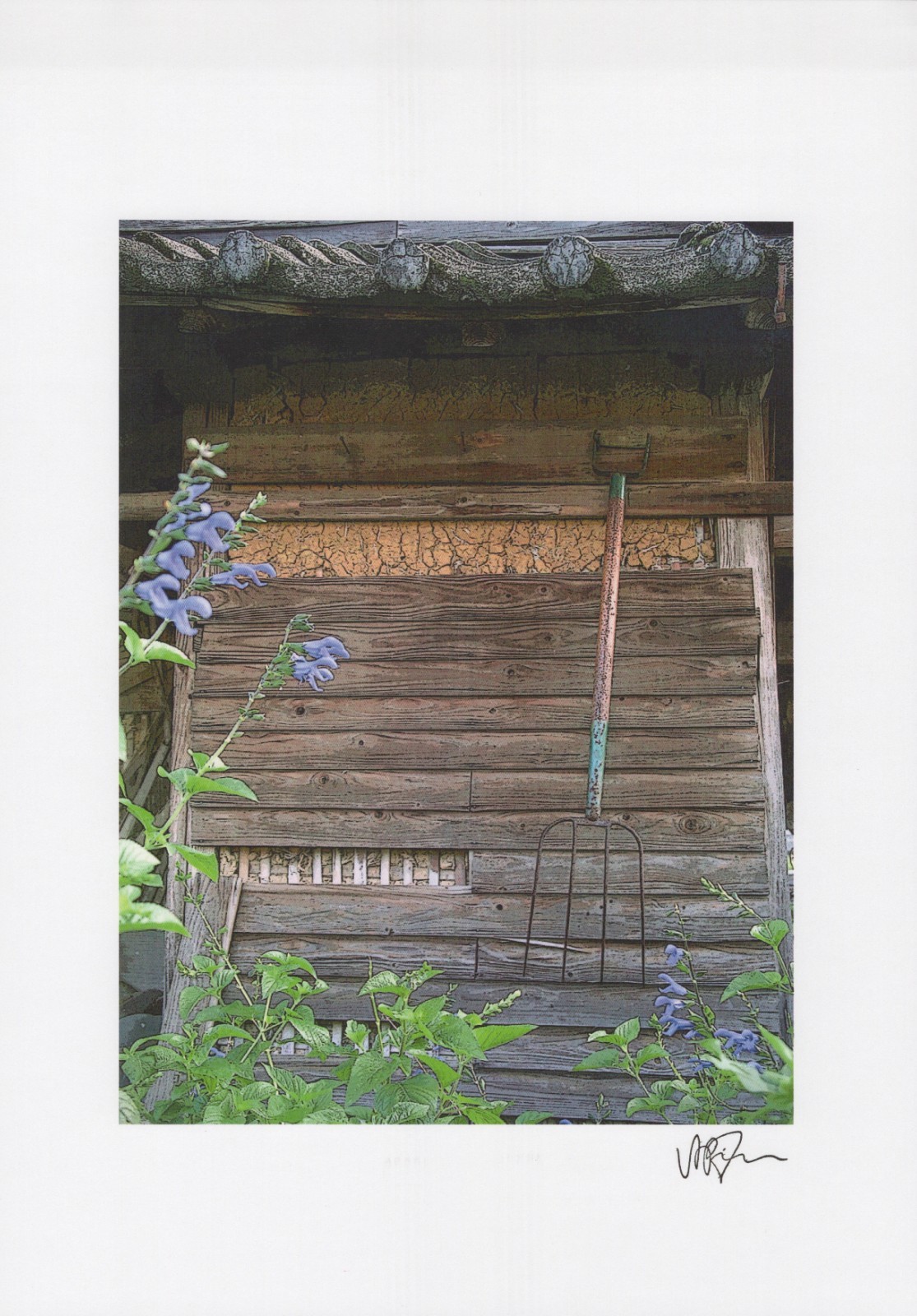 Signed Rustic Farm Shed Photograph Art Print Garden Flowers Pitchfork B2