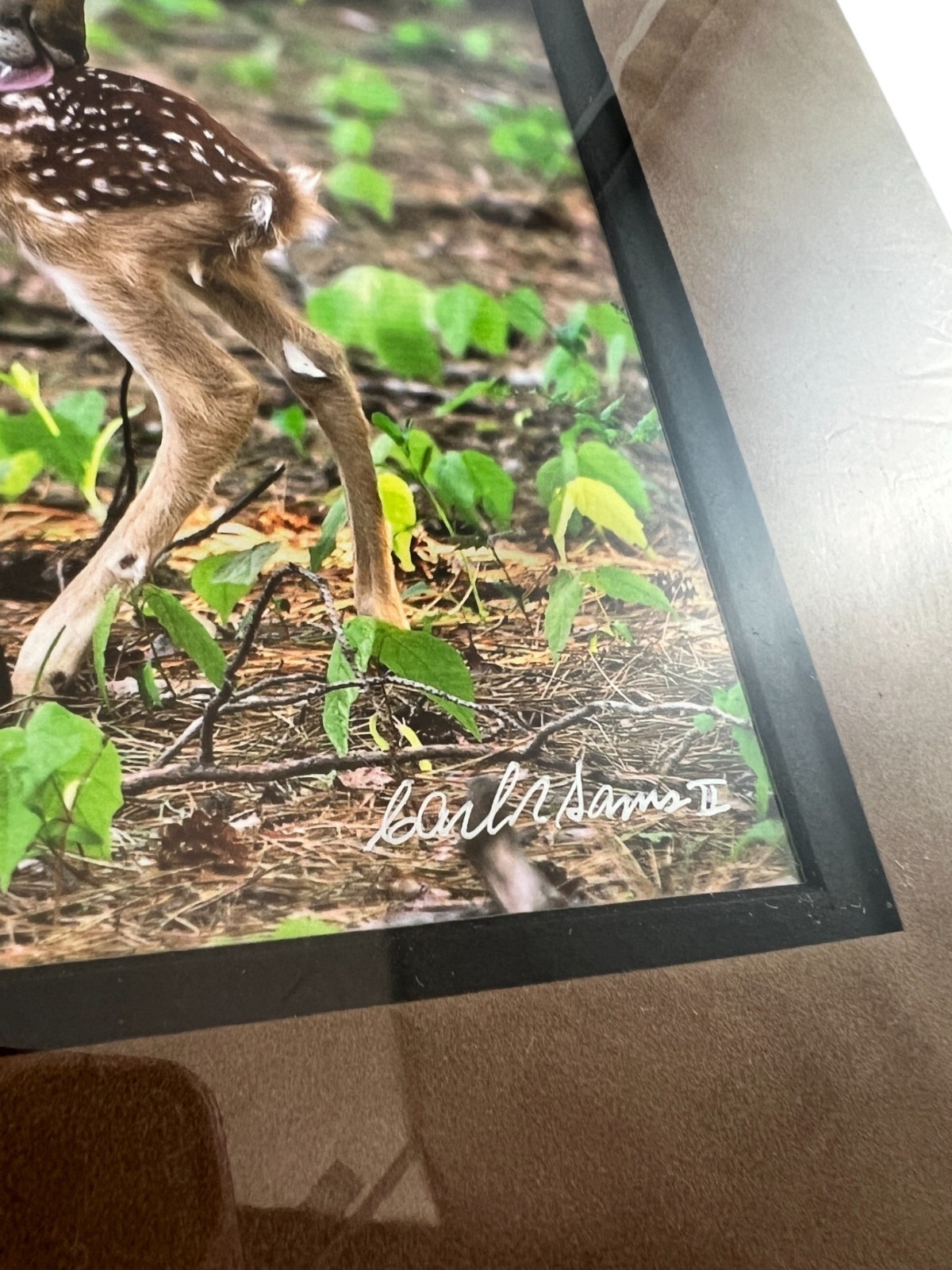 NEW Wildlife Photography Print: Stranger In The Woods ‘Mama Returns’ 8×10 Matted