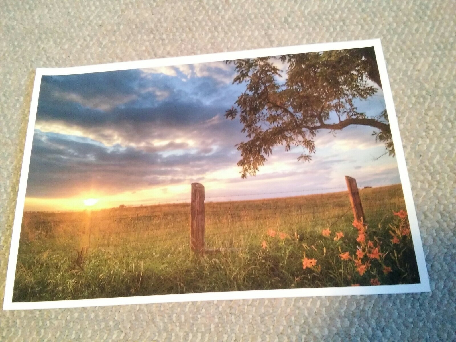 19×13 Digital Art Photograph Beautiful Sunset Fence Row Landscape Countryside