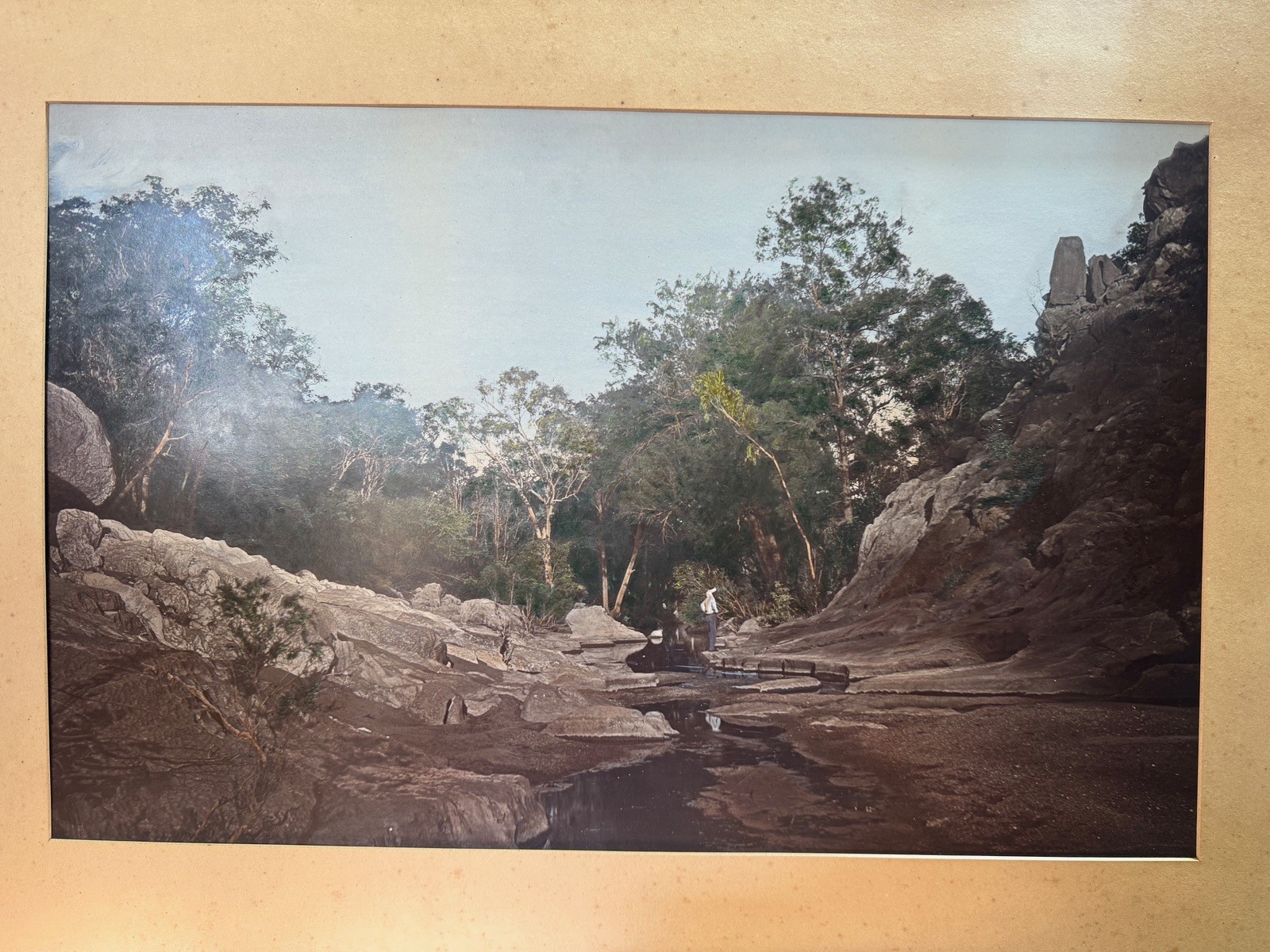 c.1900 Hand-Tinted Albumen Photograph Indigenous Landscape in Burr-Walnut Frame