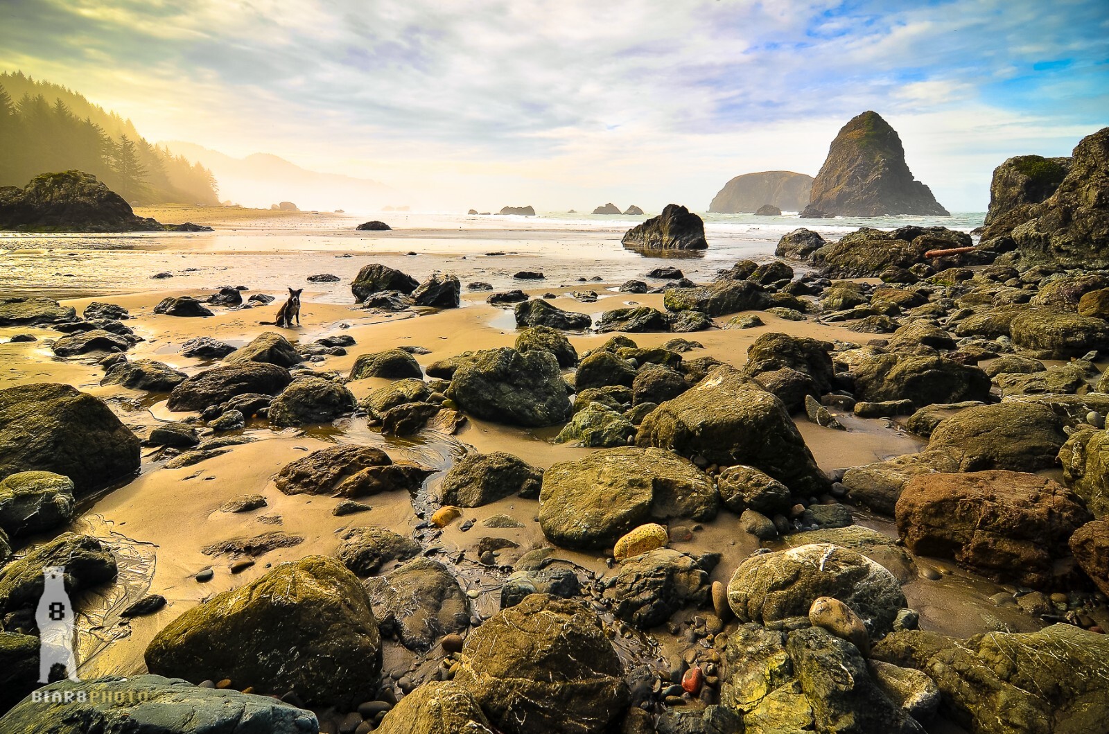 Whaleshead Beach – Southern Oregon Coast – Fine Art Photography Prints