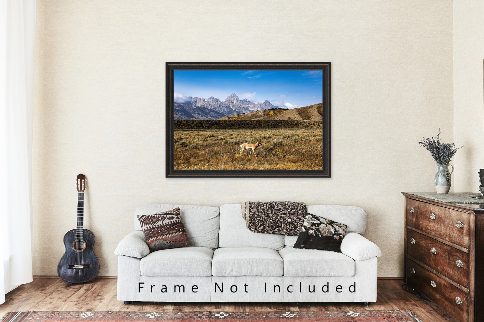 Pronghorn Antelope in Grand Teton National Park Wyoming Photography Print