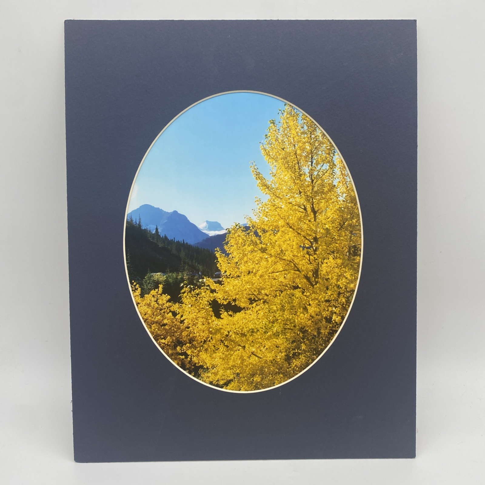 Matted Autumn Forest Landscape Photo Print 11 X 14 Wall Art Gallery Decor