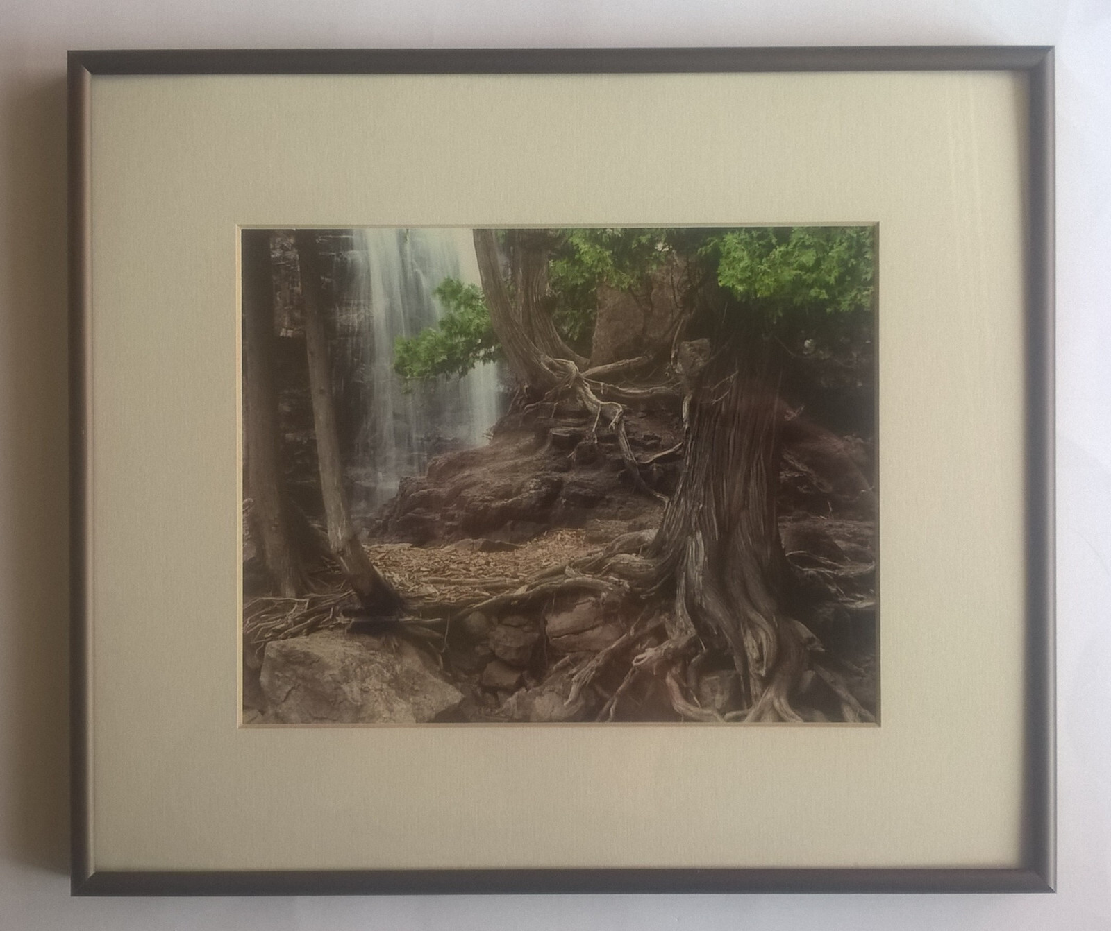 Jay Anderson Photograph Minnesota Gooseberry Falls Framed Art Forest Waterfall