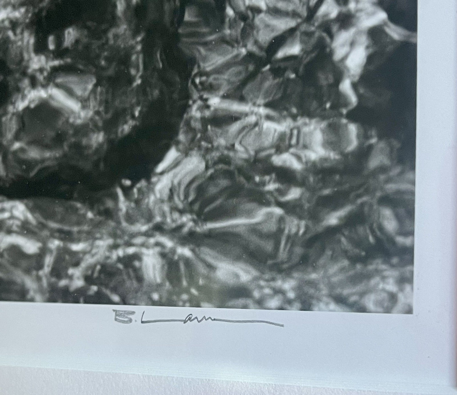 Original Fine Art Photograph ACADIA Nat’l Park MAINE Abstract B&W Signed Framed