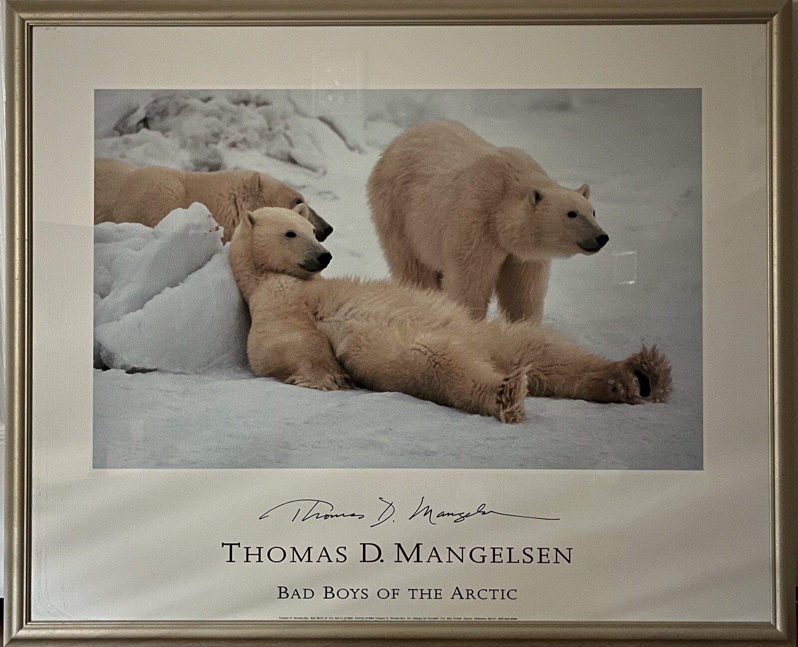 Thomas D. Malgelsen 1993 Bad Boys Of The Artic Limited Edition Print 34”X28”