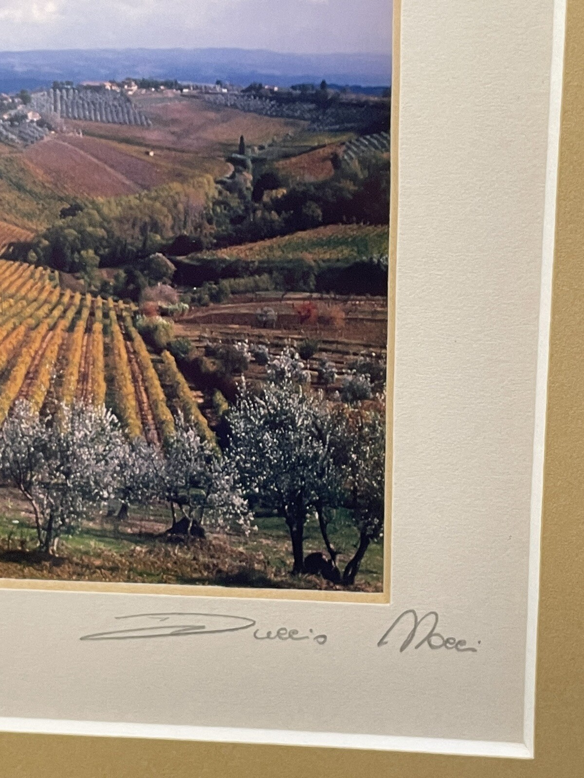 Vintage 2003 Tuscan Countryside Italy Signed Art Photograph Matted And Framed LN