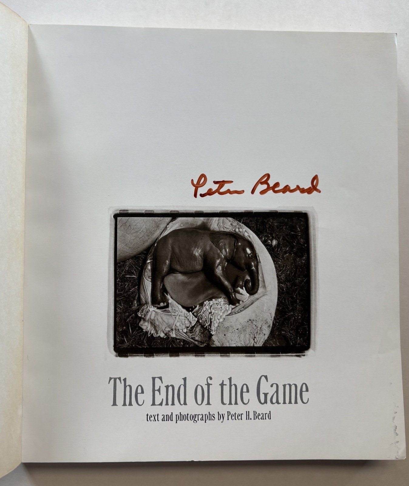PETER BEARD SIGNED The End of the Game 1977