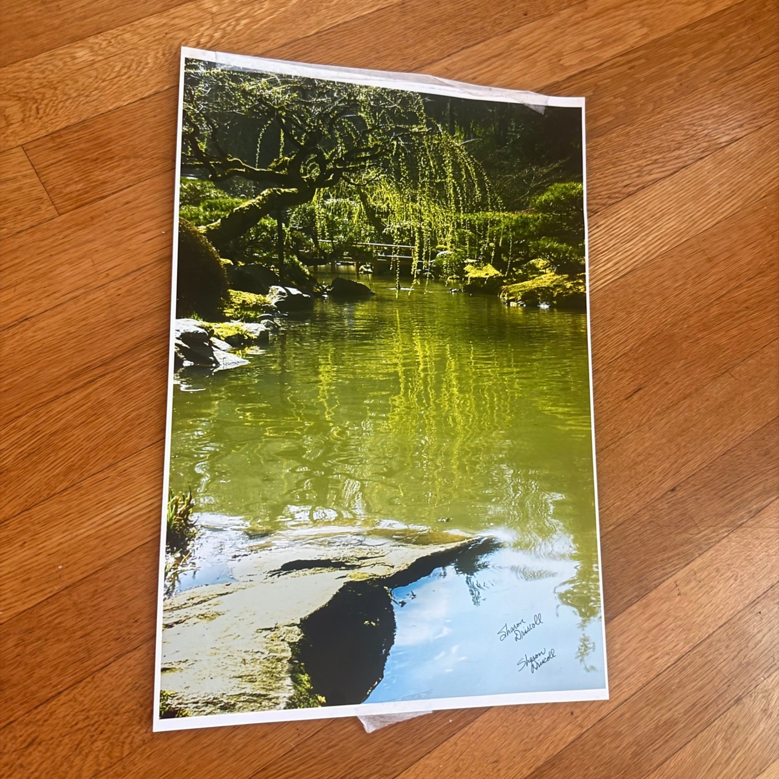 Sharon Driscoll Signed 13×19 Japanese Garden Photograph – Portland PNW Artist