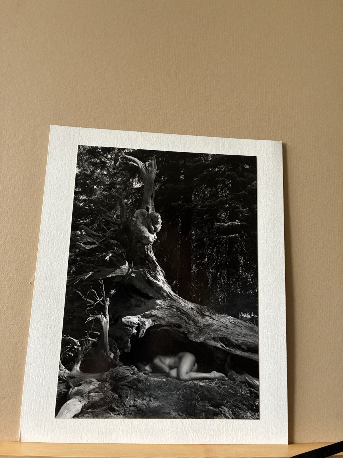Cole Weston 1979 Gelatin Silver Photograph “Lake Almaden” Stamped Dated