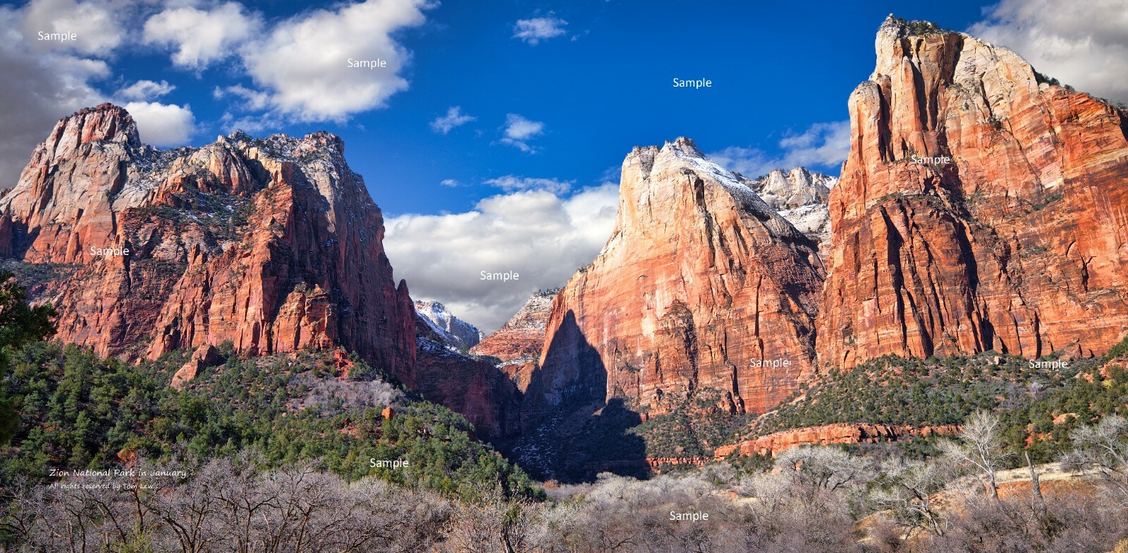 Zion National Park Utah January Winter #1 Poster Photo Print ZP15