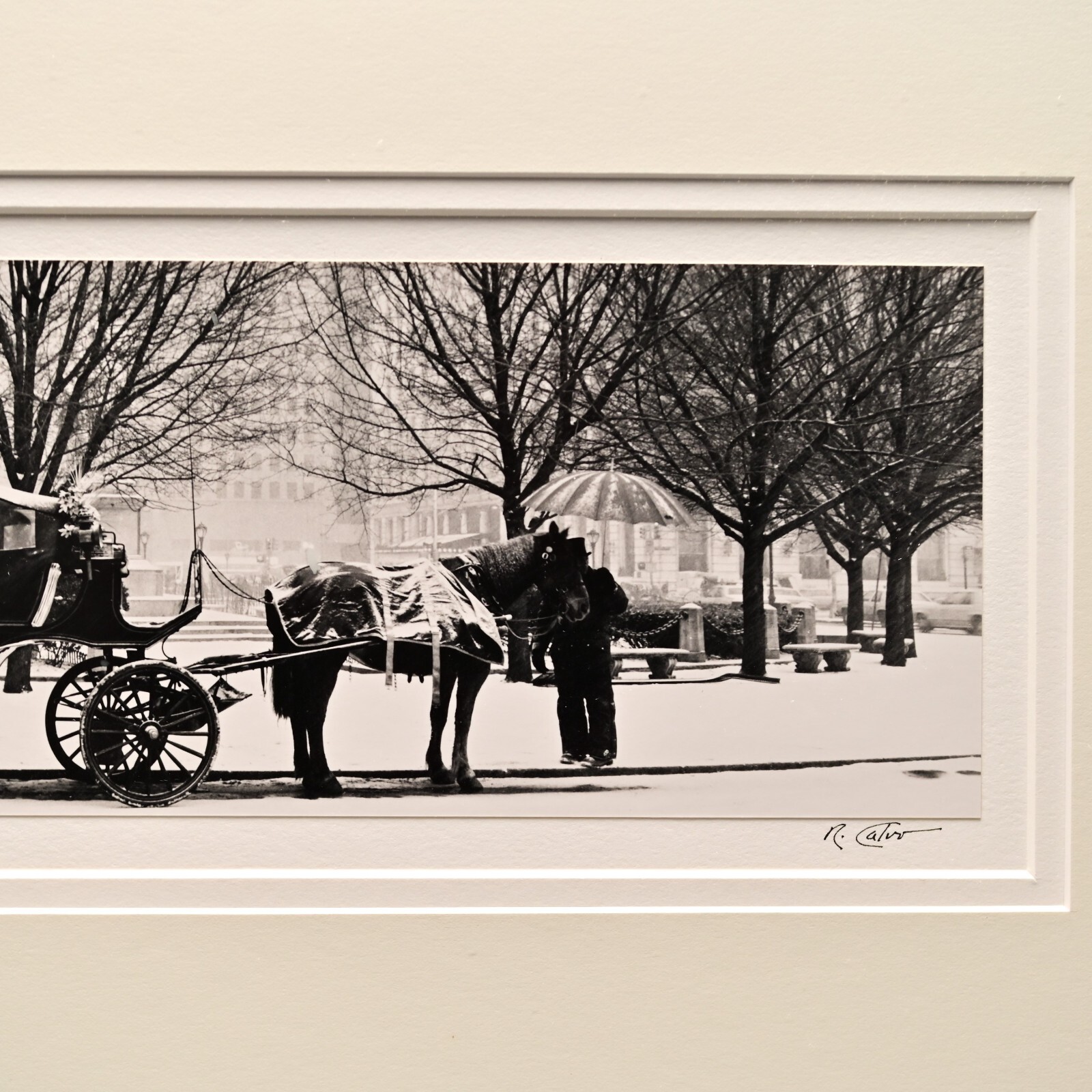 RICHARD CALVO Original Vintage Signed Central Park NY Horse Carriage Photograph