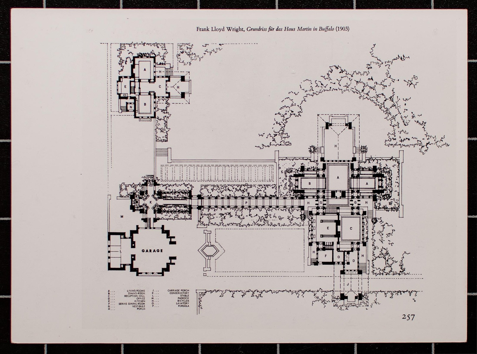 Frank Lloyd Wright Darwin Martin House Buffalo Floor Plan 1903 Print Photograph