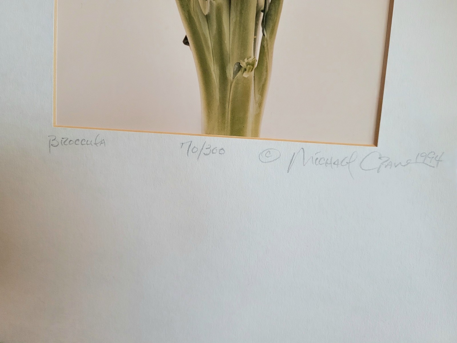 Michael Craven Fine Photography “Broccula” 1994 Signed Framed 70/300 Print 1998