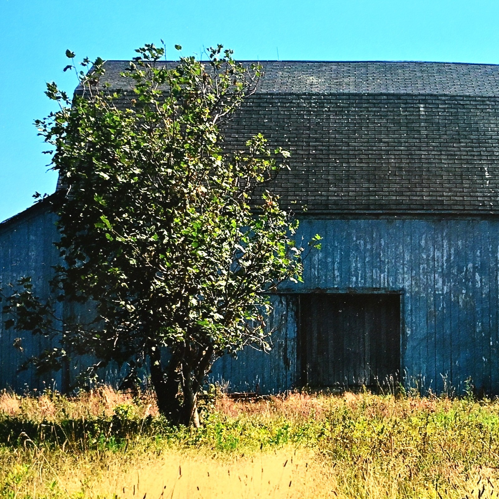MICHAEL RAY Original Vintage Signed Long Island Landscape Barn Photograph Print