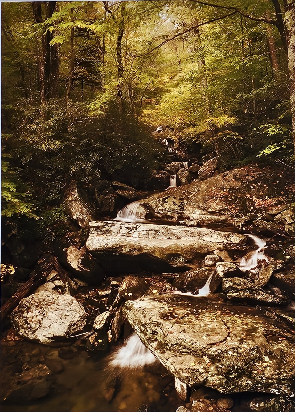 fine art nature photography prints